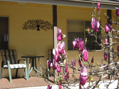 Figtree Cottage - Accommodation Fremantle 1