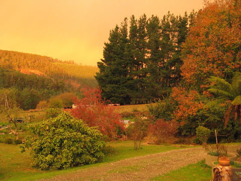 Red Rooster Host Farm - Accommodation Fremantle 0