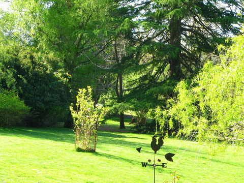 Red Rooster Host Farm - Accommodation Fremantle 2