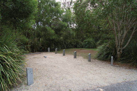 Springbrook National Park Camping - Accommodation Fremantle 0