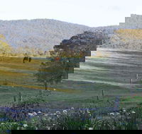 Wallaby Cottage - Accommodation Fremantle