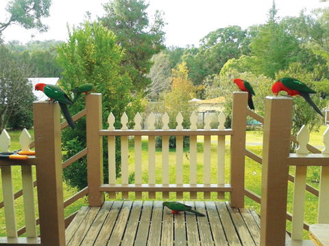 Warrumbungles Mountain Motel - Accommodation Fremantle 0
