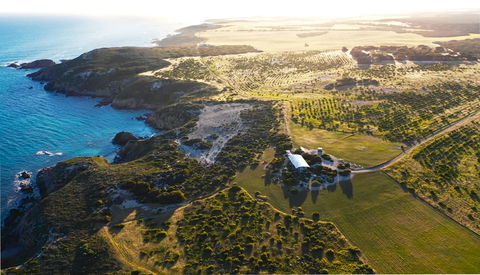 Yondah Beach House - Accommodation Fremantle 1
