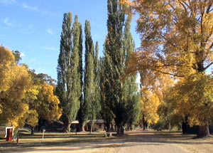 Omeo Caravan Park - Accommodation Fremantle 0
