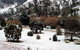 Omeo Caravan Park - thumb 1