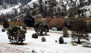 Omeo Caravan Park - Accommodation Fremantle 1