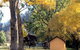 Omeo Caravan Park - thumb 4
