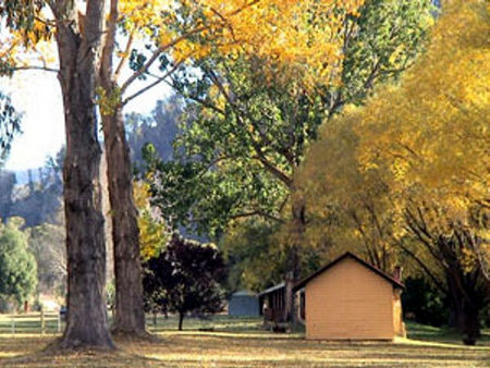 Omeo Caravan Park - Accommodation Fremantle 4