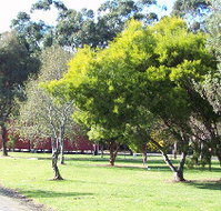 Otways Tourist Park - Accommodation Fremantle