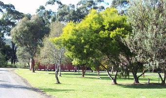 Otways Tourist Park - Accommodation Fremantle 0
