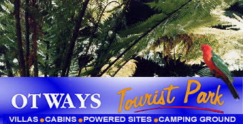 Otways Tourist Park - Accommodation Fremantle 4