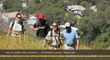 Alpine View Apartments - Accommodation Fremantle 3
