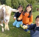 Johanna River Farm and Cottages - Accommodation Fremantle