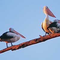 Matahari Houseboats - Accommodation Fremantle 1