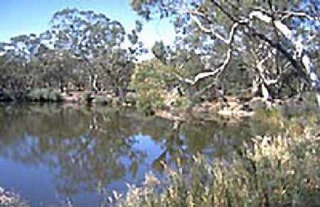 Riverside Host Farm - Accommodation Fremantle 1