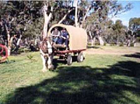 Riverside Host Farm - Accommodation Fremantle 3