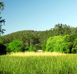 Waterholes Guest House - Accommodation Fremantle
