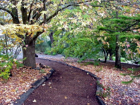 Brigadoon Cottages - Accommodation Fremantle 3