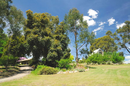 Brigadoon Cottages - Accommodation Fremantle 5