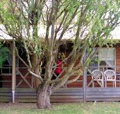 BIG4 Ballarat Windmill Holiday Park - Accommodation Fremantle