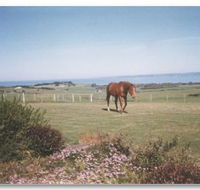 First Class Bed and Breakfast - Accommodation Fremantle