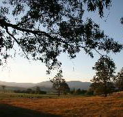 Cann River Rainforest Caravan Park - Accommodation Fremantle