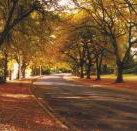 La Trobe at Beechworth - Accommodation Fremantle