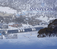 Snowy Gums Chalet - Accommodation Fremantle