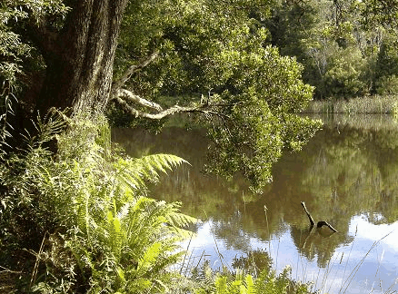 South Mount Cameron TAS Accommodation Fremantle