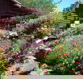 Chestnut Brook Cottage - Accommodation Fremantle