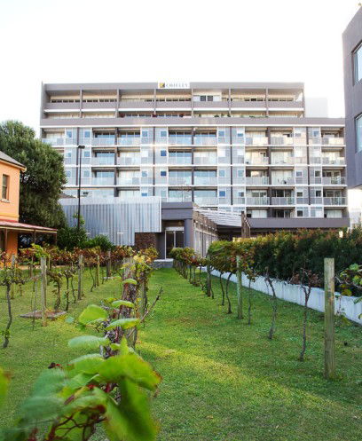 Honeysuckle Executive Apartments - Accommodation Fremantle 0
