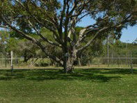 Hawks Nest Holiday Park - Accommodation Fremantle 3