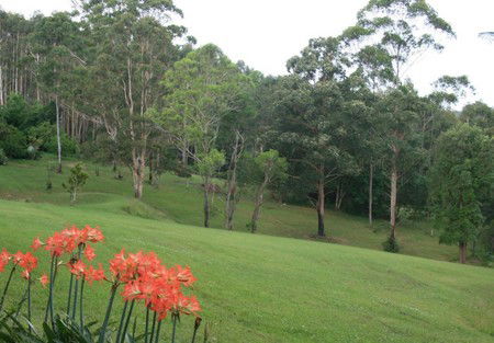 Woodridge Park Country Retreat - Accommodation Fremantle 3