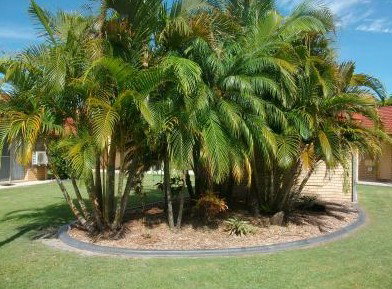 Yamba Motor Inn - Accommodation Fremantle 5