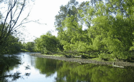 Ribbonwood Cottages - Accommodation Fremantle 0