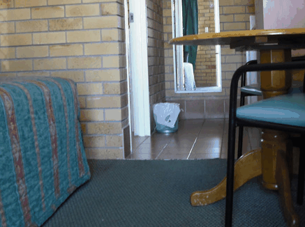 Dragon  Phoenix Motel - Accommodation Fremantle