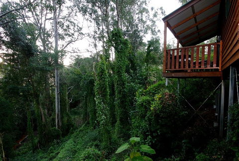 Ravensbourne Forest Chalets - Accommodation Fremantle 1