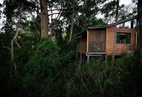 Ravensbourne Forest Chalets - Accommodation Fremantle 4