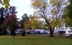 Poplar Tourist Park - thumb 2