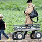 Perth City Farm Organic Markets - Accommodation Fremantle