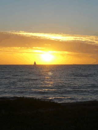 Kidogo Arthouse - Accommodation Fremantle 1