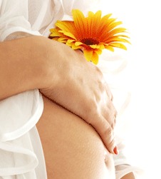 Glow Retreat - Accommodation Fremantle 1