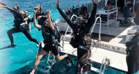 Snorkel Safari Brisbane - Accommodation Fremantle