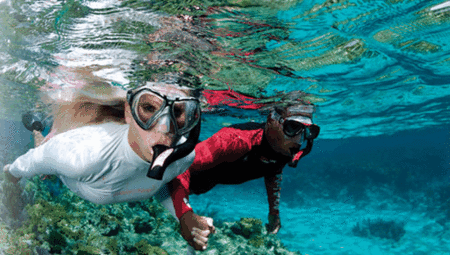 Snorkel Safari Brisbane - Accommodation Fremantle 1