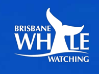 Brisbane Whale Watching - Accommodation Fremantle 3