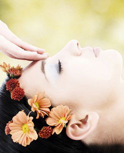 Retreat In The Suburbs - Accommodation Fremantle 2