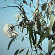 Dianne Tanzer Gallery & Projects - Accommodation Fremantle 1