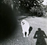 Fehily Contemporary - Accommodation Fremantle 2