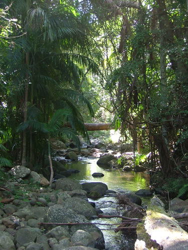 Thunderbird Park - Accommodation Fremantle 2