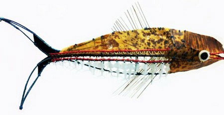 Vivien Anderson Gallery - Accommodation Fremantle 3